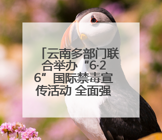 云南多部门联合举办“6·26”国际禁毒宣传活动 全面强化青少年防毒意识