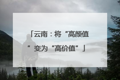 云南：将“高颜值”变为“高价值”