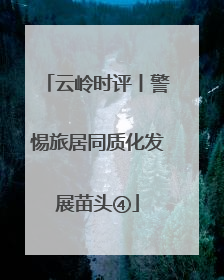 云岭时评丨警惕旅居同质化发展苗头④