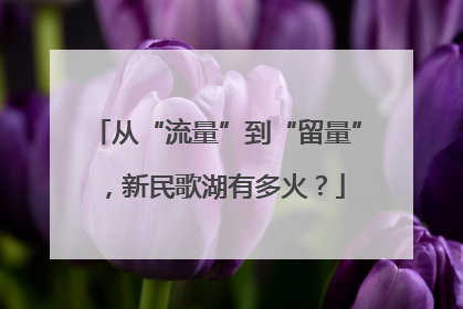 从“流量”到“留量”，新民歌湖有多火？