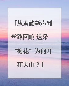 从秦韵新声到丝路回响 这朵“梅花”为何开在天山？