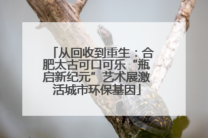 从回收到重生：合肥太古可口可乐“瓶启新纪元”艺术展激活城市环保基因