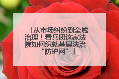从市场纠纷到全域治理！看兵团这家法院如何织就基层法治 “防护网”