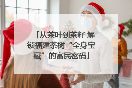 从茶叶到茶籽 解锁福建茶树“全身宝藏”的富民密码