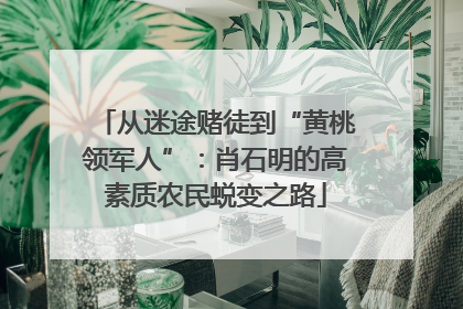 从迷途赌徒到“黄桃领军人”：肖石明的高素质农民蜕变之路