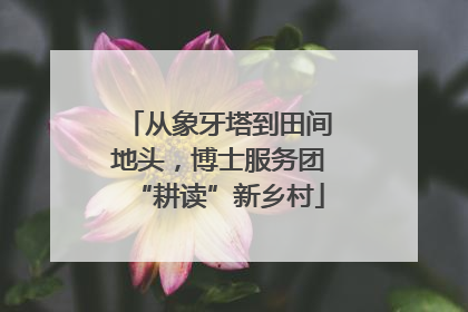 从象牙塔到田间地头，博士服务团“耕读”新乡村