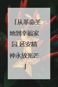 从革命圣地到幸福家园 延安精神永放光芒