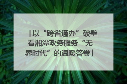 以“跨省通办”破壁 看湘潭政务服务“无界时代”的温暖答卷