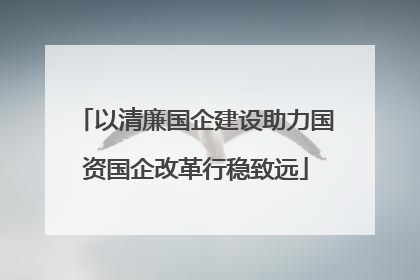 以清廉国企建设助力国资国企改革行稳致远