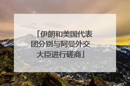 伊朗和美国代表团分别与阿曼外交大臣进行磋商