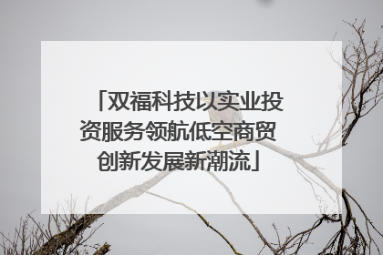 双福科技以实业投资服务领航低空商贸创新发展新潮流