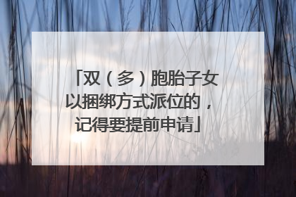 双（多）胞胎子女以捆绑方式派位的，记得要提前申请
