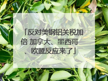 反对美钢铝关税加倍 加拿大、墨西哥、欧盟反应来了