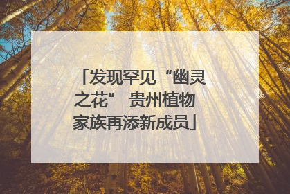发现罕见“幽灵之花” 贵州植物家族再添新成员