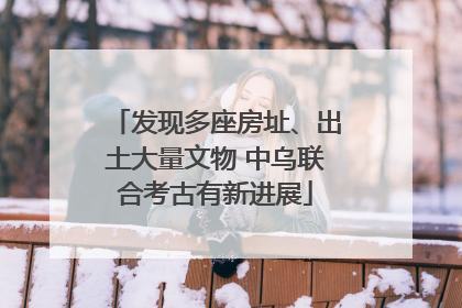 发现多座房址、出土大量文物 中乌联合考古有新进展