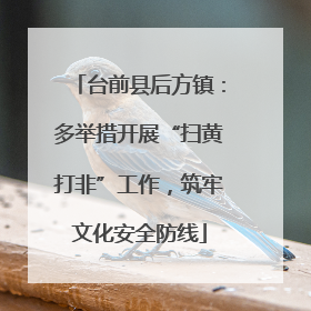 台前县后方镇：多举措开展“扫黄打非”工作，筑牢文化安全防线