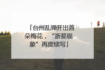 台州乱弹开出首朵梅花，“浙婺现象”再度续写