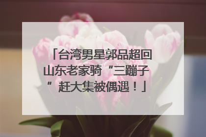 台湾男星郭品超回山东老家骑“三蹦子”赶大集被偶遇！