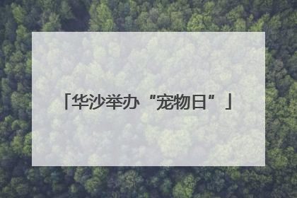 华沙举办“宠物日”