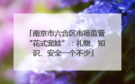 南京市六合区市场监管“花式宠娃”：礼物、知识、安全一个不少