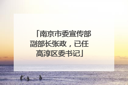 南京市委宣传部副部长张政，已任高淳区委书记