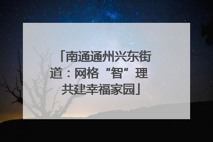 南通通州兴东街道：网格“智”理 共建幸福家园