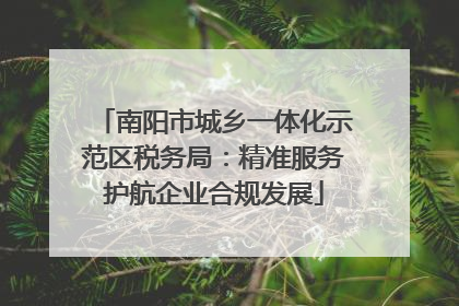 南阳市城乡一体化示范区税务局：精准服务护航企业合规发展