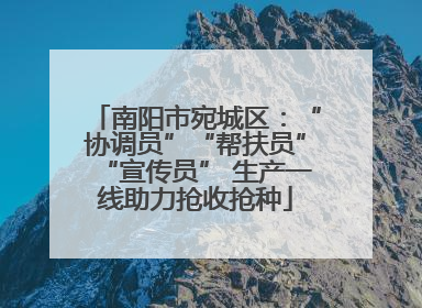南阳市宛城区：“协调员”“帮扶员”“宣传员” 生产一线助力抢收抢种