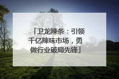 卫龙辣条：引领千亿辣味市场，勇做行业破局先锋