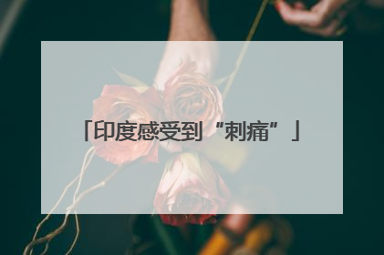 印度感受到“刺痛”