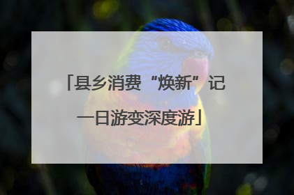 县乡消费“焕新”记 一日游变深度游