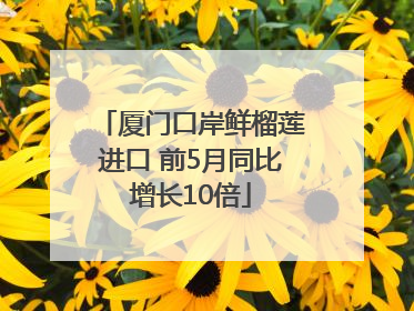 厦门口岸鲜榴莲进口 前5月同比增长10倍