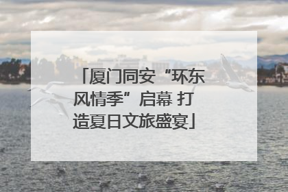 厦门同安“环东风情季”启幕 打造夏日文旅盛宴