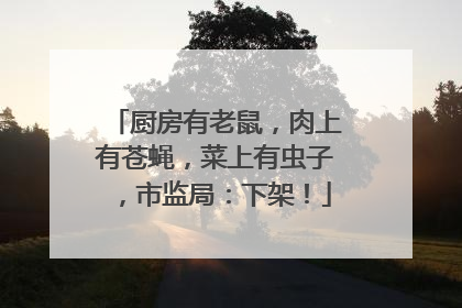 厨房有老鼠，肉上有苍蝇，菜上有虫子，市监局：下架！