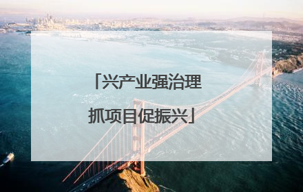 兴产业强治理 抓项目促振兴