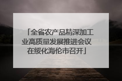 全省农产品精深加工业高质量发展推进会议在绥化海伦市召开