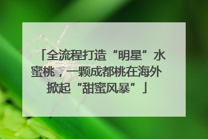 全流程打造“明星”水蜜桃，一颗成都桃在海外掀起“甜蜜风暴”