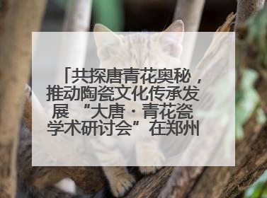 共探唐青花奥秘，推动陶瓷文化传承发展 “大唐・青花瓷学术研讨会”在郑州圆满举行