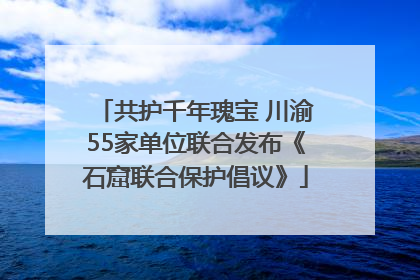 共护千年瑰宝 川渝55家单位联合发布《石窟联合保护倡议》