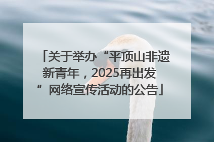 关于举办“平顶山非遗新青年，2025再出发”网络宣传活动的公告