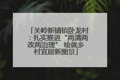 关岭新铺镇卧龙村：扎实推进“两清两改两治理” 绘就乡村宜居新图景