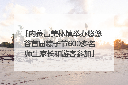 内蒙古美林镇举办悠悠谷首届粽子节600多名师生家长和游客参加