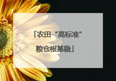 农田“高标准” 粮仓根基稳