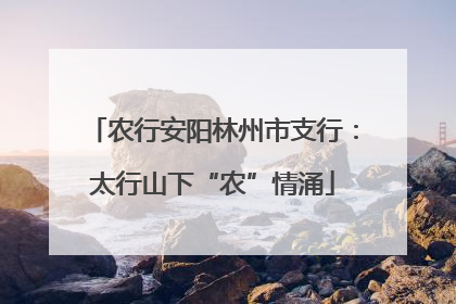 农行安阳林州市支行：太行山下“农”情涌