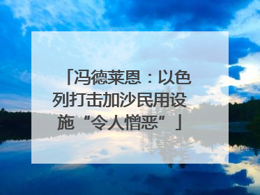 冯德莱恩：以色列打击加沙民用设施“令人憎恶”
