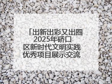出新出彩又出圈 2025年硚口区新时代文明实践优秀项目展示交流活动举行