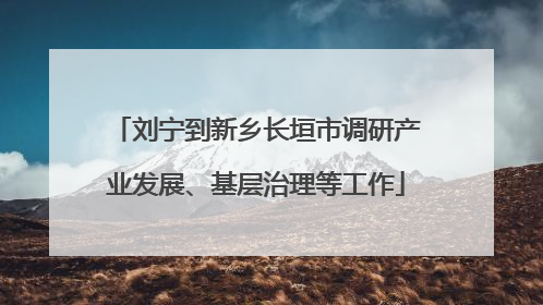 刘宁到新乡长垣市调研产业发展、基层治理等工作