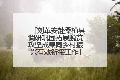 刘革安赴桑植县调研巩固拓展脱贫攻坚成果同乡村振兴有效衔接工作