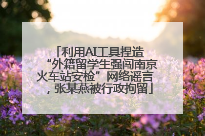 利用AI工具捏造 “外籍留学生强闯南京火车站安检”网络谣言，张某燕被行政拘留