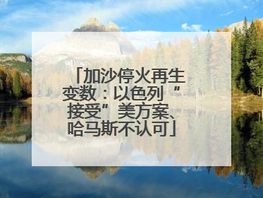 加沙停火再生变数：以色列“接受”美方案、哈马斯不认可